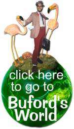 Take a trip to Buford's World!