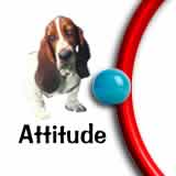 Attitude